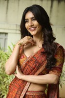 Nabha Natesh Interview Stills